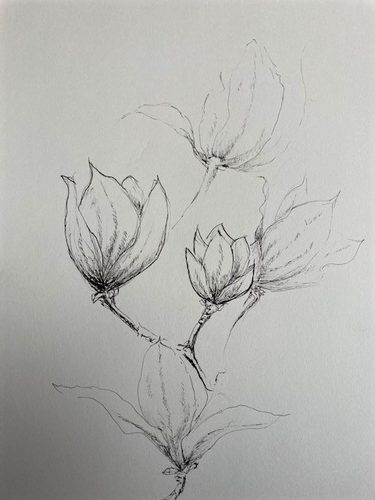 Debbie, Magnolias.